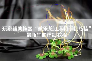 玩家辅助神器“微乐龙江麻将手机版挂”最新辅助详细教程