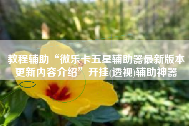 教程辅助“微乐卡五星辅助器最新版本更新内容介绍	”开挂(透视)辅助神器