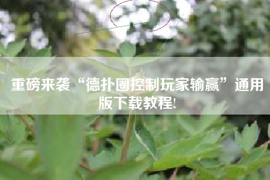 重磅来袭“德扑圈控制玩家输赢”通用版下载教程!