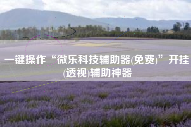 一键操作“微乐科技辅助器(免费)	”开挂(透视)辅助神器