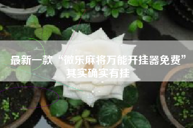 最新一款“微乐麻将万能开挂器免费”其实确实有挂