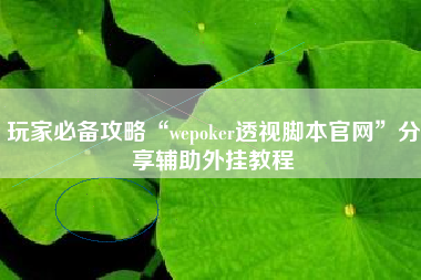玩家必备攻略“wepoker透视脚本官网”分享辅助外挂教程