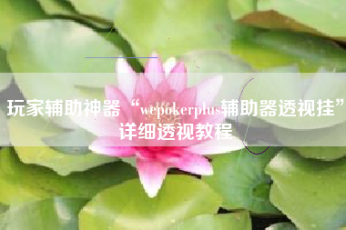 玩家辅助神器“wepokerplus辅助器透视挂”详细透视教程
