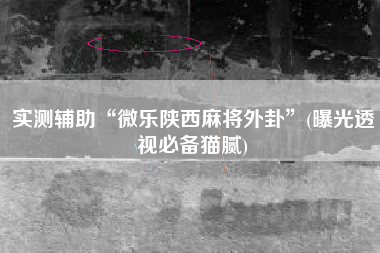 实测辅助“微乐陕西麻将外卦”(曝光透视必备猫腻)