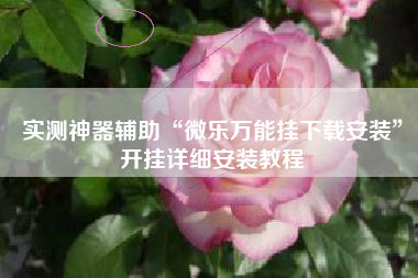 实测神器辅助“微乐万能挂下载安装”开挂详细安装教程