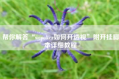 帮你解答“wepoker如何开透视	”附开挂脚本详细教程