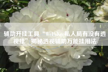 辅助开挂工具“WePoKer私人局有没有透视挂”揭秘透视辅助万能挂用法