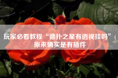 玩家必看教程“德扑之星有透视挂吗”(原来确实是有插件