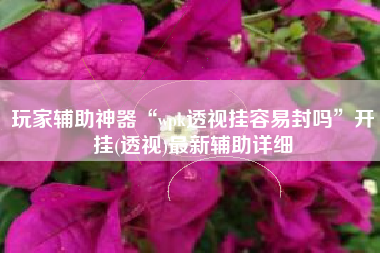 玩家辅助神器“wpk透视挂容易封吗”开挂(透视)最新辅助详细