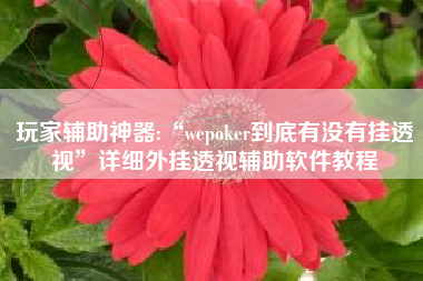 玩家辅助神器:“wepoker到底有没有挂透视	”详细外挂透视辅助软件教程