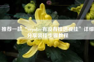 推荐一款“wepoker有没有挂透视挂”详细分享装挂步骤教程