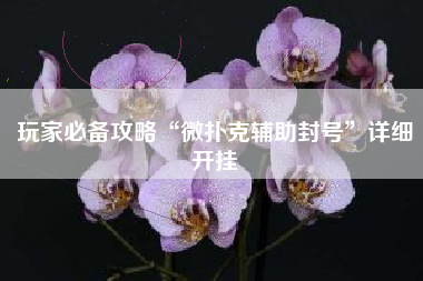 玩家必备攻略“微扑克辅助封号	”详细开挂