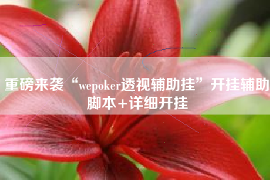 重磅来袭“wepoker透视辅助挂”开挂辅助脚本+详细开挂