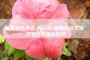 玩家辅助神器“wepoKer最新透视教程”详细透视辅助教程