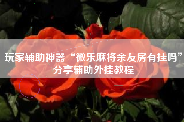 玩家辅助神器“微乐麻将亲友房有挂吗”分享辅助外挂教程