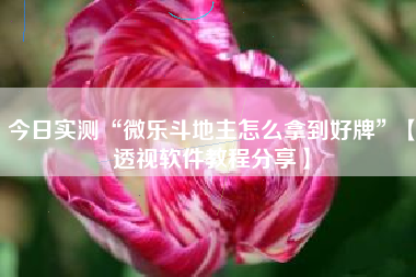 今日实测“微乐斗地主怎么拿到好牌	”【透视软件教程分享】