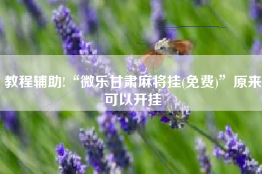 教程辅助!“微乐甘肃麻将挂(免费)”原来可以开挂