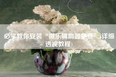 必学教你安装“微乐辅助器免费”(详细透视教程)