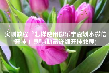 实测教程“怎样使用微乐宁夏划水微信开挂工具	”(助赢详细开挂教程)