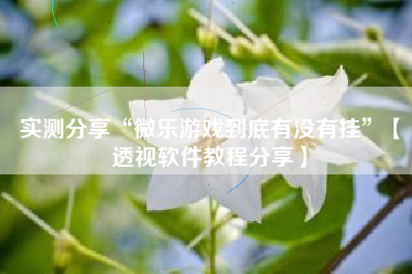 实测分享“微乐游戏到底有没有挂”【透视软件教程分享】