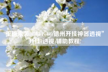 重磅来袭“WePoker德州开挂神器透视”开挂(透视)辅助教程!