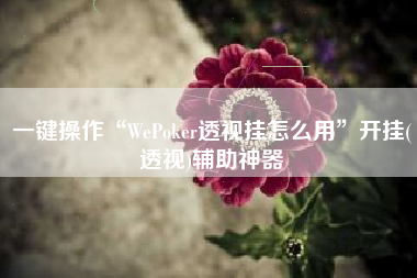 一键操作“WePoker透视挂怎么用	”开挂(透视)辅助神器