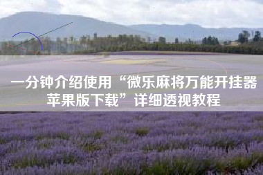 一分钟介绍使用“微乐麻将万能开挂器苹果版下载”详细透视教程