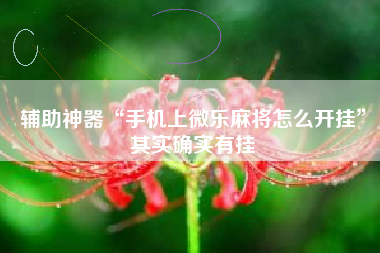 辅助神器“手机上微乐麻将怎么开挂	”其实确实有挂