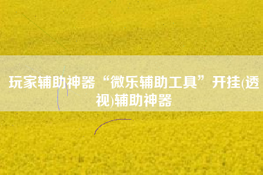 玩家辅助神器“微乐辅助工具	”开挂(透视)辅助神器