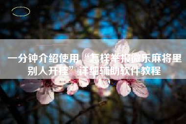 一分钟介绍使用“怎样举报微乐麻将里别人开挂	”详细辅助软件教程