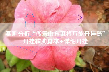 实测分析“微乐山东麻将万能开挂器”开挂辅助脚本+详细开挂