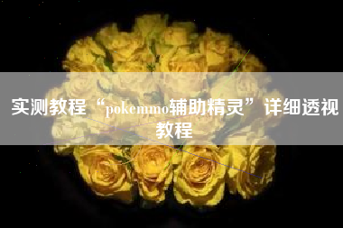 实测教程“pokemmo辅助精灵”详细透视教程