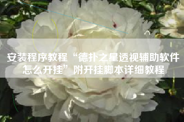 安装程序教程“德扑之星透视辅助软件怎么开挂”附开挂脚本详细教程