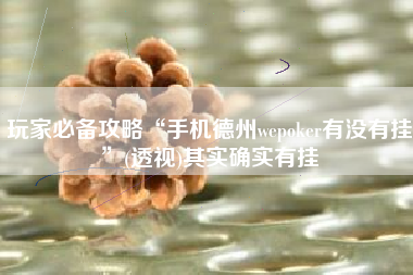玩家必备攻略“手机德州wepoker有没有挂”(透视)其实确实有挂