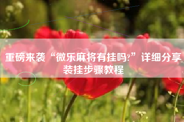 重磅来袭“微乐麻将有挂吗?”详细分享装挂步骤教程