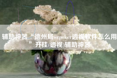 辅助神器“德州局wepoker透视软件怎么用	”开挂(透视)辅助神器