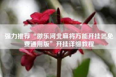 强力推荐“微乐河北麻将万能开挂器免费通用版”开挂详细教程