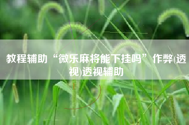 教程辅助“微乐麻将能下挂吗”作弊(透视)透视辅助