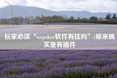 玩家必读“wepoker软件有挂吗”(原来确实是有插件