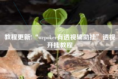 教程更新!“wepoker有透视辅助挂”透视开挂教程