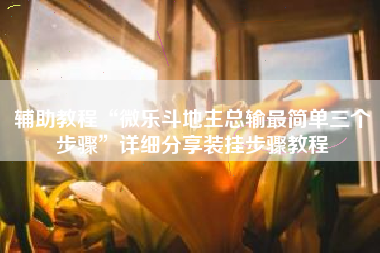 辅助教程“微乐斗地主总输最简单三个步骤”详细分享装挂步骤教程