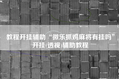 教程开挂辅助“微乐抓鸡麻将有挂吗	”开挂(透视)辅助教程