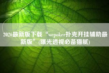 2026最新版下载“wepoker扑克开挂辅助最新版	”(曝光透视必备猫腻)
