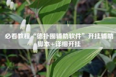 必看教程“德扑圈辅助软件	”开挂辅助脚本+详细开挂