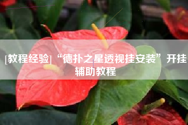 [教程经验]“德扑之星透视挂安装”开挂辅助教程