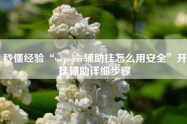 秒懂经验“wepoker辅助挂怎么用安全	”开挂辅助详细步骤