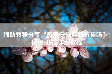 辅助教程分享“微乐安徽麻将有挂吗	”(透视)开挂详细教程