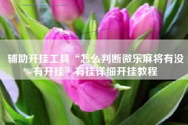 辅助开挂工具“怎么判断微乐麻将有没有开挂	”有挂详细开挂教程