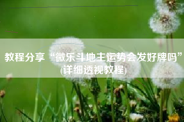 教程分享“微乐斗地主运势会发好牌吗	”(详细透视教程)