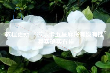 教程更新!“微乐卡五星麻将有没有挂”其实确实有挂